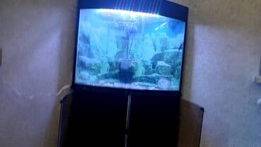 İdeal veziyetde almanya matoru isiqlari altinda şkaflari baliq tutmaq lalafo.az -da İdeal veziyetde almanya matoru isiqlari altinda şkaflari baliq tutmaq