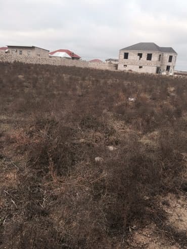 Tikinti lalafo.az -da Tikinti