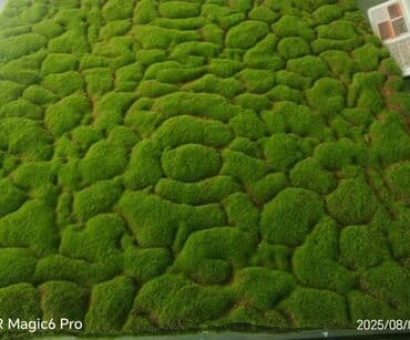 Bitki dərmanları: Məhsul: Təbiətvi̇ zolaqlı yosun/mahov örtüyü – hazır plitələr Təsvir lalafo.az -da — 9 Bitki dərmanları: Məhsul: Təbiətvi̇ zolaqlı yosun/mahov örtüyü – hazır plitələr Təsvir — 9