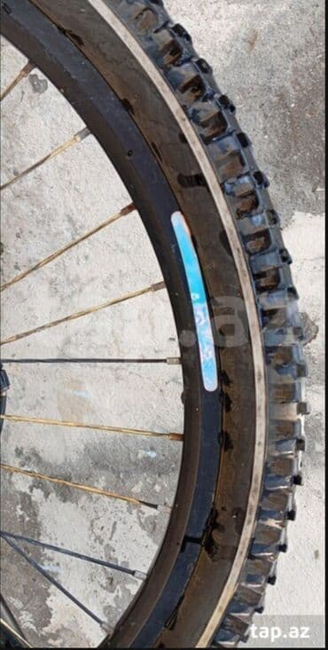 Миски: Б/у BMX велосипед Adidas, 24", Самовывоз at lalafo.az — 9 Миски: Б/у BMX велосипед Adidas, 24", Самовывоз — 9