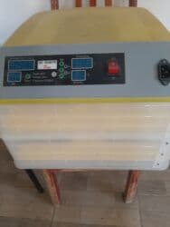 ПО для бизнеса: İnkubator. Tam işlək .96 yumurtalıq at lalafo.az — 2 ПО для бизнеса: İnkubator. Tam işlək .96 yumurtalıq — 2