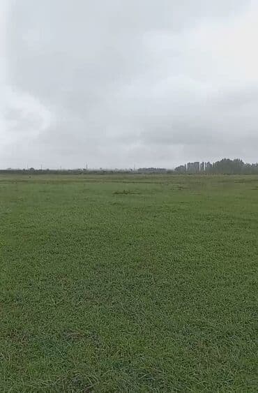 Kənd təsərrüfatı lalafo.az -da Kənd təsərrüfatı