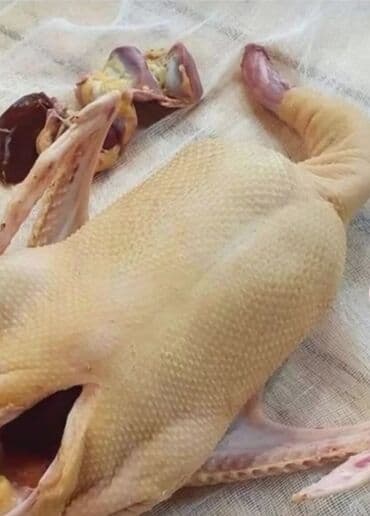 Məhsul: Təmizlənmiş lal ordek - Tam təmizlənmiş, tükləri yandırılmış lalafo.az -da Məhsul: Təmizlənmiş lal ordek - Tam təmizlənmiş, tükləri yandırılmış