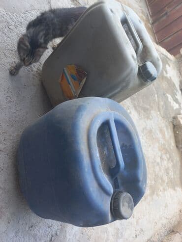 Salyarka kanisdiri satilir 6 eded var. 1 ededi 5 manat lalafo.az -da Salyarka kanisdiri satilir 6 eded var. 1 ededi 5 manat