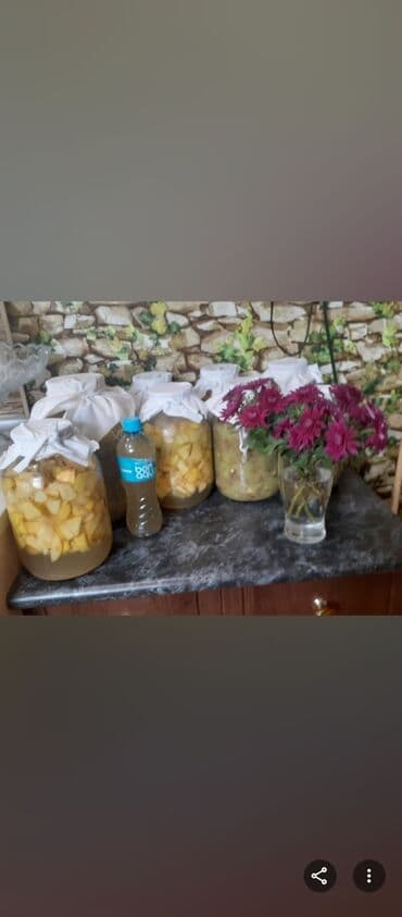 Ləpələr: Alma və kivi sirkəsi – orqanik - Tərkib: təzə alma və kivi parçaları lalafo.az -da — 5 Ləpələr: Alma və kivi sirkəsi – orqanik - Tərkib: təzə alma və kivi parçaları — 5