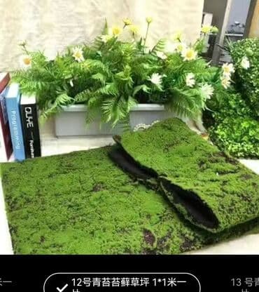 Bitki dərmanları: Məhsul: Təbiətvi̇ zolaqlı yosun/mahov örtüyü – hazır plitələr Təsvir lalafo.az -da — 5 Bitki dərmanları: Məhsul: Təbiətvi̇ zolaqlı yosun/mahov örtüyü – hazır plitələr Təsvir — 5