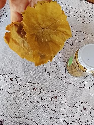 Bankada duzlu üzüm yarpağı - Məhsul: Dolma üçün hazır duzlu üzüm lalafo.az -da Bankada duzlu üzüm yarpağı - Məhsul: Dolma üçün hazır duzlu üzüm