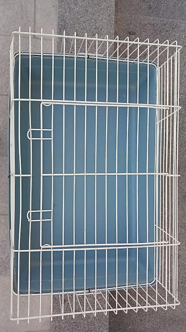 Dovsan qefesi az istifade olunub unvan azneft qruqu teref fnuklorun lalafo.az -da Dovsan qefesi az istifade olunub unvan azneft qruqu teref fnuklorun