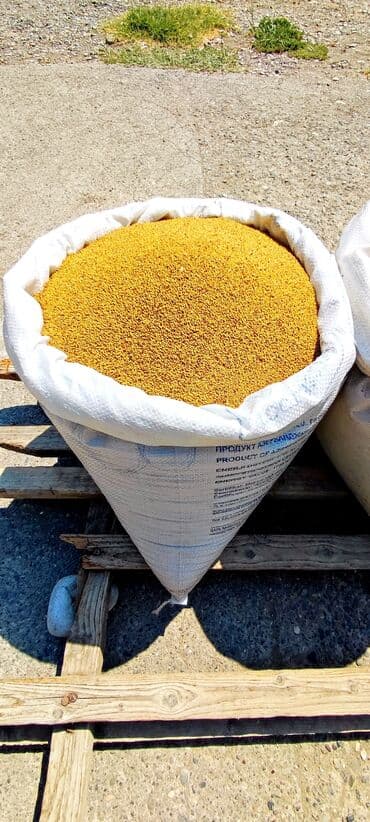 Yerli yonca toxumu Təmizlənmiş toxumdu,uzun ömürlü,enli yarpaq lalafo.az -da Yerli yonca toxumu Təmizlənmiş toxumdu,uzun ömürlü,enli yarpaq