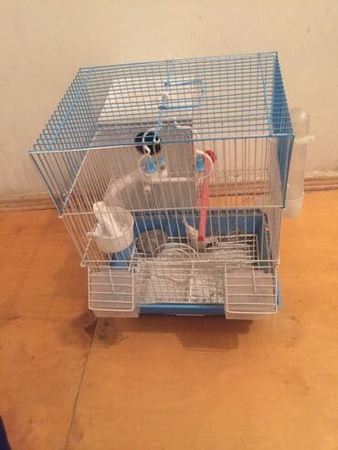 Qefes ve Quş yuvası ile birlikde satılır ünvan Sumqayıt lalafo.az -da Qefes ve Quş yuvası ile birlikde satılır ünvan Sumqayıt