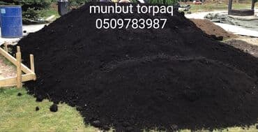 Другие растения: Qara torpaq İsmayıllı, Şamaxı, Mərəzə rayonları ərazisindən istəyə at lalafo.az — 6 Другие растения: Qara torpaq İsmayıllı, Şamaxı, Mərəzə rayonları ərazisindən istəyə — 6