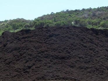 Samaxi və ismayilli meşə torpaqi lalafo.az -da Samaxi və ismayilli meşə torpaqi