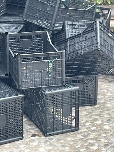 Plastik kənd təsərrüfatı və anbar yeşikləri - Material: möhkəm lalafo.az -da Plastik kənd təsərrüfatı və anbar yeşikləri - Material: möhkəm