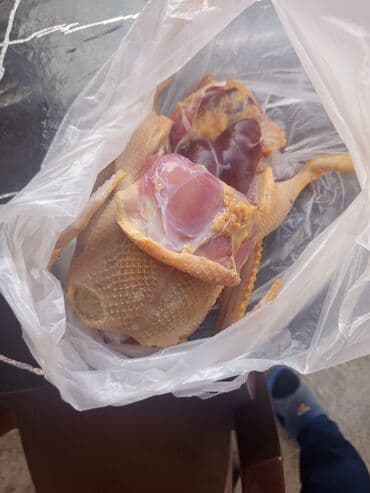 Рыба и морепродукты: Salam Gəncədə lal ördək satılır diri çəki ə kilo 10 manat təmiz əti at lalafo.az — 3 Рыба и морепродукты: Salam Gəncədə lal ördək satılır diri çəki ə kilo 10 manat təmiz əti — 3