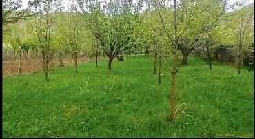 Göygöl, Çaylı kəndində yerləşən 12 sot torpaq sahəsi. Sənəddə 10 sot lalafo.az -da Göygöl, Çaylı kəndində yerləşən 12 sot torpaq sahəsi. Sənəddə 10 sot