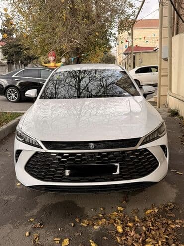 2500 ilkin odeniw 36 ay gunu 40 azn 3 illik kasko Mator karopka lalafo.az -da 2500 ilkin odeniw 36 ay gunu 40 azn 3 illik kasko Mator karopka