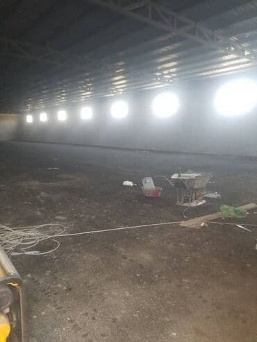 бесплатные стрижки бишкек: Təsərrüfatınızın və malınızın saxlanması üçün anbar və ya istehsal at lalafo.az — 7 бесплатные стрижки бишкек: Təsərrüfatınızın və malınızın saxlanması üçün anbar və ya istehsal — 7