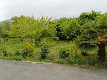 Landşaft işləri lalafo.az -da Landşaft işləri