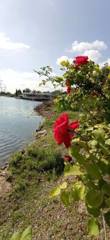 4 otaqlı, 90 kv. m, Kredit yoxdur, Yeni təmirli lalafo.az -da — 7 4 otaqlı, 90 kv. m, Kredit yoxdur, Yeni təmirli — 7