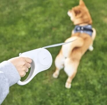 Petkit Go free Max Dog Retractable leash 45 m (P2105) Brend: Petkit lalafo.az -da Petkit Go free Max Dog Retractable leash 45 m (P2105) Brend: Petkit