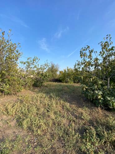 8 sot, Tikinti, Mülkiyyətçi, Kupça (Çıxarış) lalafo.az -da 8 sot, Tikinti, Mülkiyyətçi, Kupça (Çıxarış)