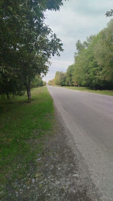 100 sot, Biznes üçün, Mülkiyyətçi, Kupça (Çıxarış) lalafo.az -da 100 sot, Biznes üçün, Mülkiyyətçi, Kupça (Çıxarış)