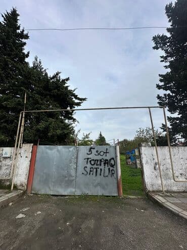 5 sot, Tikinti lalafo.az -da 5 sot, Tikinti