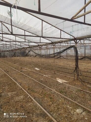 Теплицы: Sera (istixana) konstrukiyası və dam örtüyü - Metal karkaslı at lalafo.az — 6 Теплицы: Sera (istixana) konstrukiyası və dam örtüyü - Metal karkaslı — 6