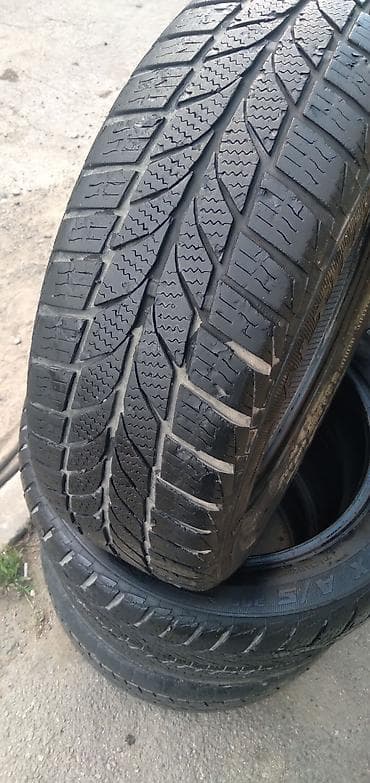 İşlənmiş Şin Accelera 185 / 60 / R 15 lalafo.az -da İşlənmiş Şin Accelera 185 / 60 / R 15