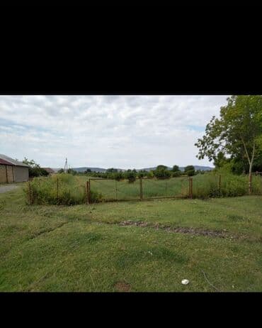 Mülkiyyətçi, Kupça (Çıxarış) lalafo.az -da Mülkiyyətçi, Kupça (Çıxarış)