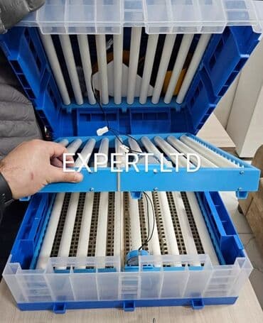 ПО для бизнеса: 300 яиц, Китай, Заводское производство, Полностью автоматическая, Для всех видов птиц at lalafo.az — 3 ПО для бизнеса: 300 яиц, Китай, Заводское производство, Полностью автоматическая, Для всех видов птиц — 3