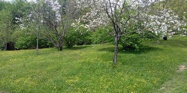 10 sot, Tikinti, Mülkiyyətçi lalafo.az -da 10 sot, Tikinti, Mülkiyyətçi