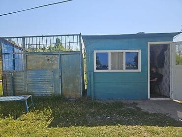 Kosk butkalar satilir istyen olsa desin lalafo.az -da Kosk butkalar satilir istyen olsa desin