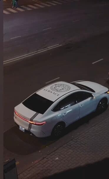 Avtomobil üçün premium dam və korpus vinil qrafik dəsti əlaqə üçün lalafo.az -da — 3 Avtomobil üçün premium dam və korpus vinil qrafik dəsti əlaqə üçün — 3