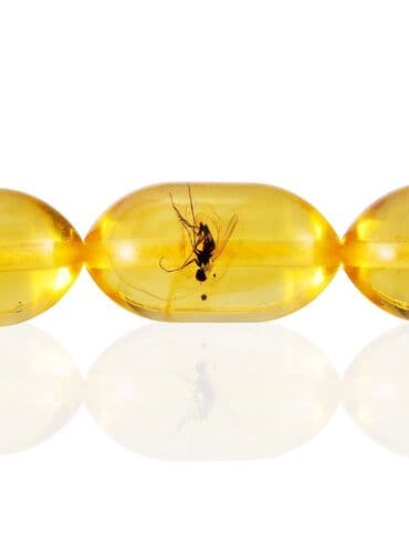 Колье: Kəhrəba təsbeh,yeganə nüsxə – unikal inklüziyalı!!! 100% təbii,qaya at lalafo.az — 4 Колье: Kəhrəba təsbeh,yeganə nüsxə – unikal inklüziyalı!!! 100% təbii,qaya — 4