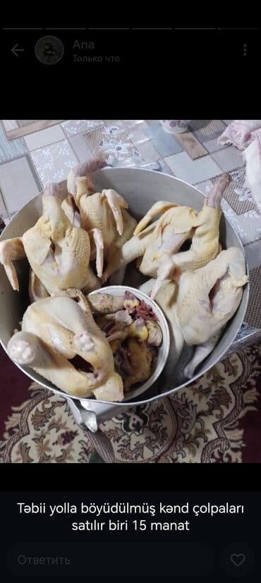 Toyuq, Ətlik, Pulsuz çatdırılma, Ödənişli çatdırılma lalafo.az -da Toyuq, Ətlik, Pulsuz çatdırılma, Ödənişli çatdırılma