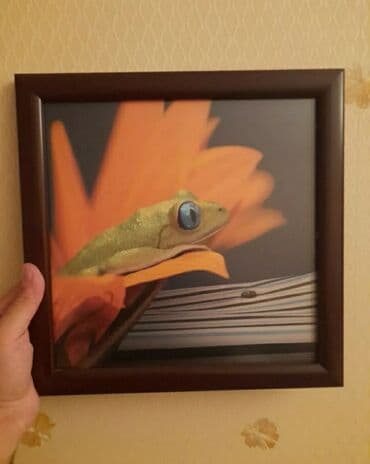 Her biri 10 manat lalafo.az -da Her biri 10 manat