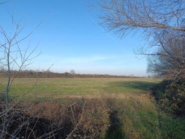 Kənd təsərrüfatı lalafo.az -da Kənd təsərrüfatı