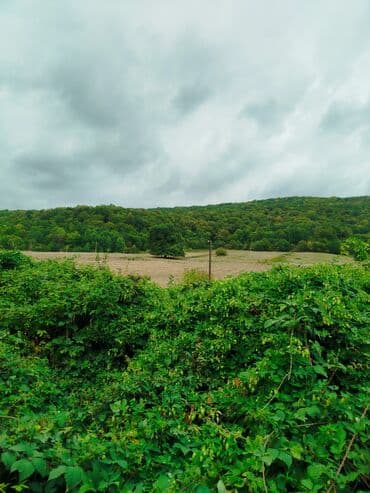 Great Wall: 949 sot, Mülkiyyətçi, Kupça (Çıxarış) lalafo.az -da — 1 Great Wall: 949 sot, Mülkiyyətçi, Kupça (Çıxarış) — 1