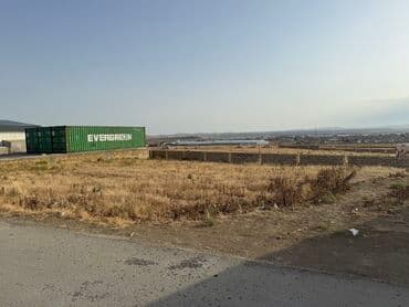 Biznes üçün lalafo.az -da Biznes üçün