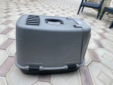 Pisik tualeti, demek olar tezedir. 50 azn alinibdi. yaninda bir paket lalafo.az -da Pisik tualeti, demek olar tezedir. 50 azn alinibdi. yaninda bir paket