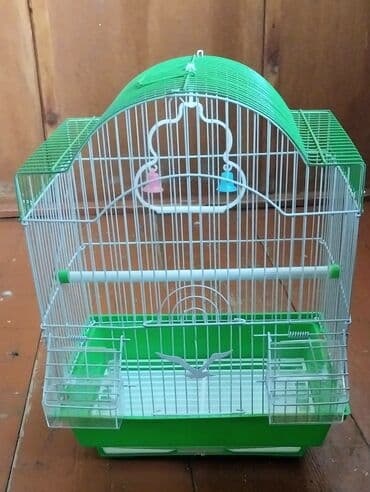 Миски для воды и еды: Tutuqusu (papuqay) ucun aksessuarlar, Mel +Duz - 1 azn Pampers - 3 at lalafo.az — 3 Миски для воды и еды: Tutuqusu (papuqay) ucun aksessuarlar, Mel +Duz - 1 azn Pampers - 3 — 3