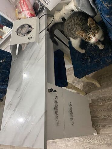 Dördbucaq masa, Siyirməli, Polkalı, Parlaq laminat, Azərbaycan, Kredit yoxdur lalafo.az -da Dördbucaq masa, Siyirməli, Polkalı, Parlaq laminat, Azərbaycan, Kredit yoxdur