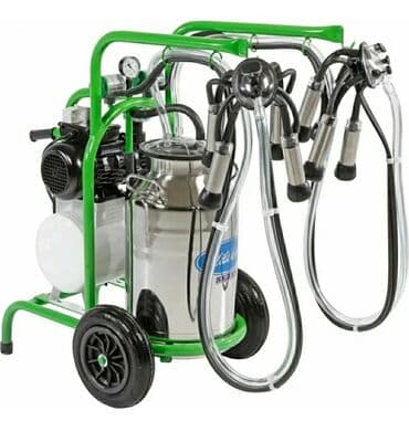 ПО для бизнеса: Двойной бидон, Турция, Нержавеющий бидон at lalafo.az — 4 ПО для бизнеса: Двойной бидон, Турция, Нержавеющий бидон — 4