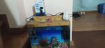 Akvaryum dəsti - Şüşə akvarium, prizmatik forma, ön və yan lalafo.az -da Akvaryum dəsti - Şüşə akvarium, prizmatik forma, ön və yan