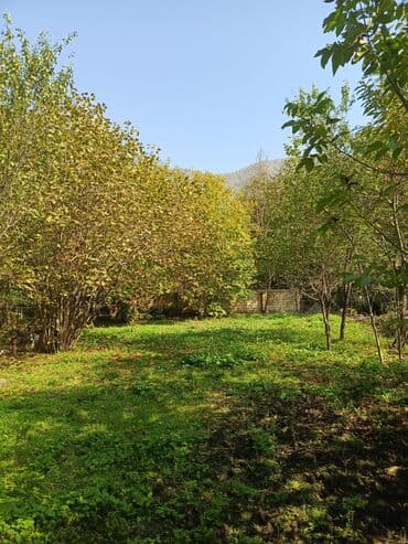 Реечные панели: 10 соток, Для бизнеса, Возможен обмен, Купчая at lalafo.az — 7 Реечные панели: 10 соток, Для бизнеса, Возможен обмен, Купчая — 7