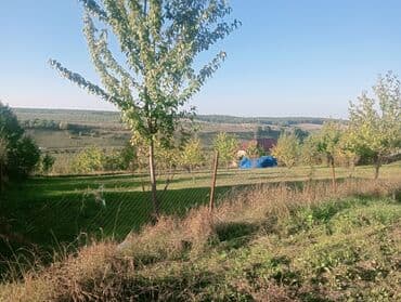 Tikinti lalafo.az -da Tikinti