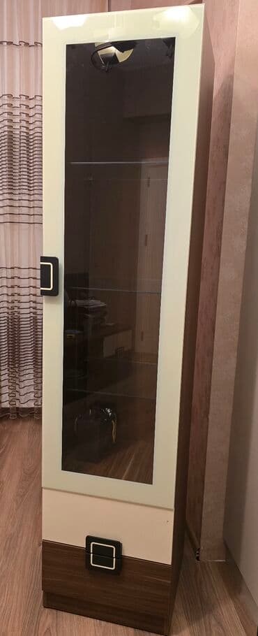 İşlənmiş, Dolab, Kredit yoxdur lalafo.az -da İşlənmiş, Dolab, Kredit yoxdur