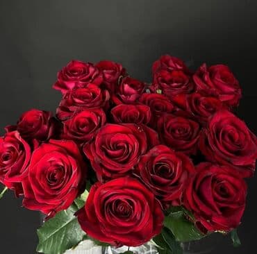 🔴 21 Qızılgul - 50₼
🌐 Ün. Əcəmi m yaxınlığı lalafo.az -da 🔴 21 Qızılgul - 50₼
🌐 Ün. Əcəmi m yaxınlığı