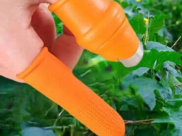 Tərəvəzdə Xiyar Pamidor Biber Badımcan Paxla ve daha cox təvəz lalafo.az -da Tərəvəzdə Xiyar Pamidor Biber Badımcan Paxla ve daha cox təvəz